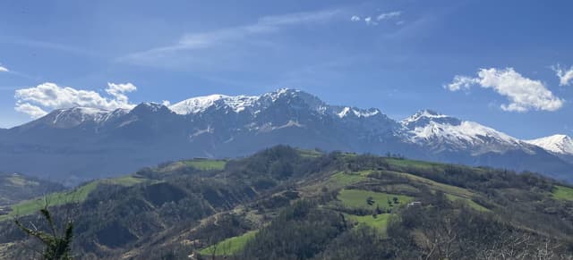 Photo 2 by Carlotta C. (4/6/24)