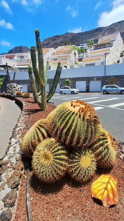 Zdjęcie 5 wykonane przez Jolanta C. (7.07.24)