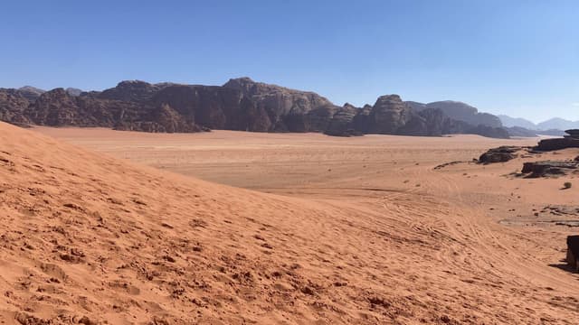 Photo 1 by Peter Z. (2/26/24)