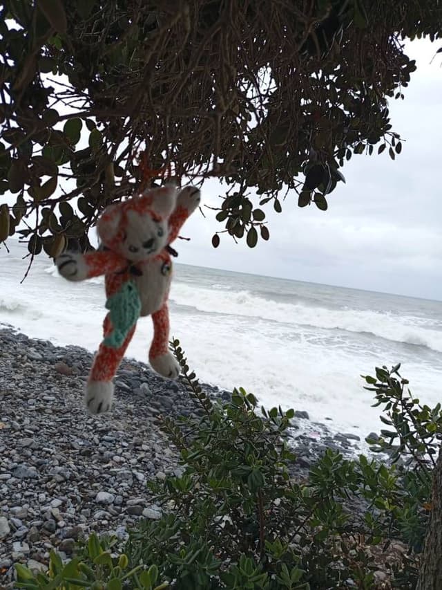 Zdjęcie 9 wykonane przez Justyna B. (1.04.26)