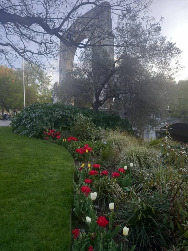 Photo 2 by Elizabeth H. (9/29/26)