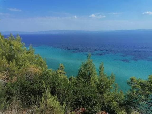 Foto 2 di Cosimo C. sul noleggio di una Fiat Panda a Salonicco (22/08/24)