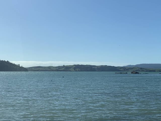 Photo 4 by Natasha D. (7/31/25)