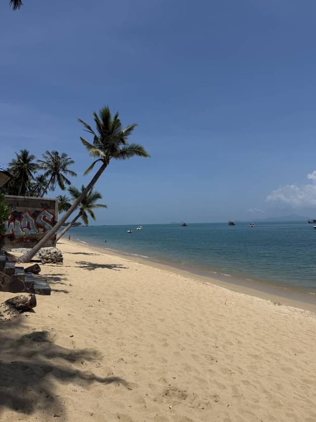 Photo 3 by Ricky B. (4/1/26)