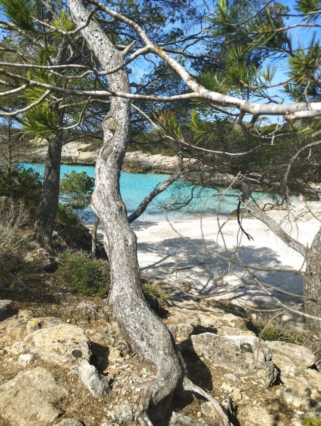 Foto 3 di Alessandro F. sul noleggio di una Skoda Citigo a Minorca (16/05/25)