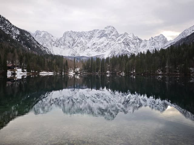 Foto 4 di Tullio Mario Gabriele S. (12/12/25)