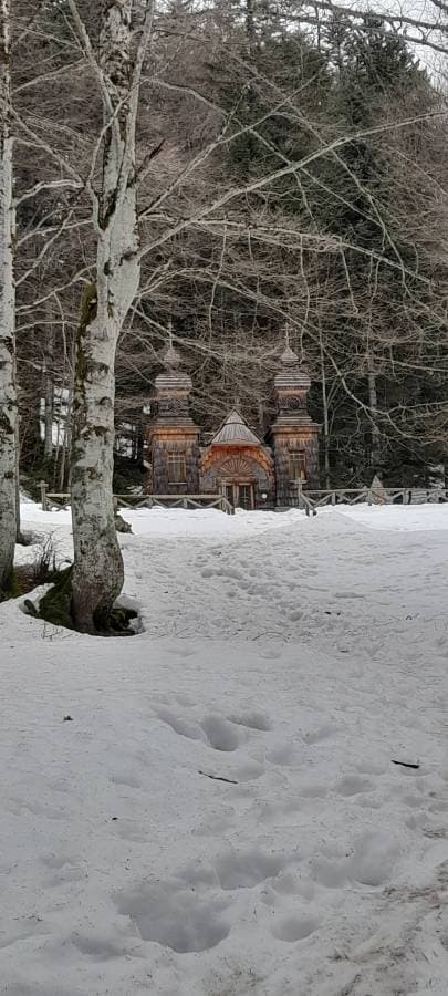 Photo 10 by Kevin B. (3/13/26)