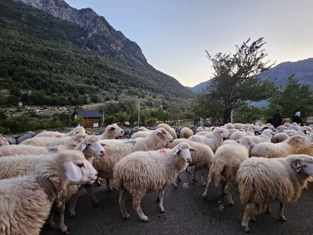 Zdjęcie 1 wykonane przez Mariusz K. (14.09.25)