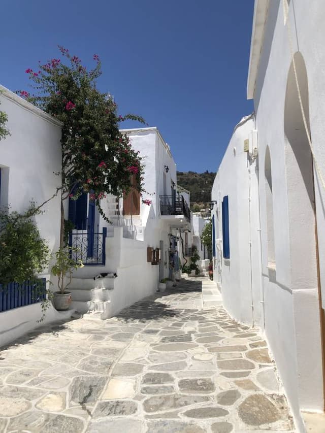 Photo 1 by Klemen K. about hiring a Suzuki Alto at Paros Port (22.07.24)