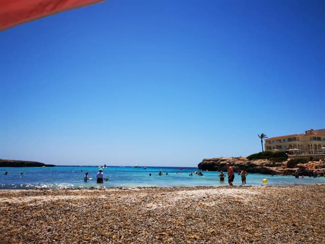 Photo 3 by Cristian C. (6/19/24)