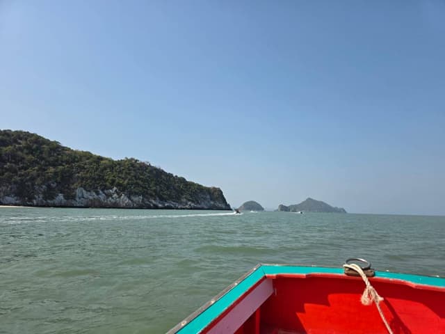 Photo 2 by jeremy S. (3/7/26)