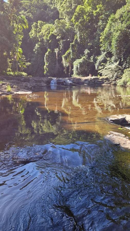 Henkilön Janika N. kuva 1 liittyen auton Nissan X-Trail vuokraamiseen paikassa Gold Coastissa (25.3.23)