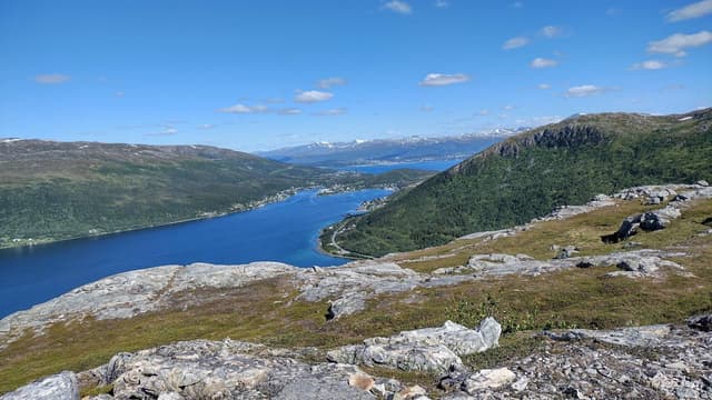 Zdjęcie 1 wykonane przez Rafal B. (11.07.23)