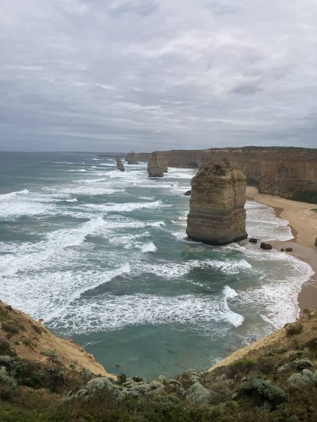 Photo by Wayne C. (12/12/25)