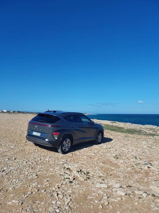 Zdjęcie wykonane przez Marzena M. (11.11.25)