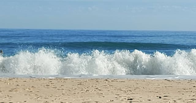 Foto 2 van Frans D. (1-11-24)