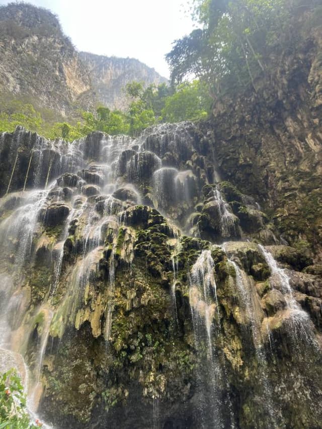 Photo 1 by pankaj C. (5/29/23)