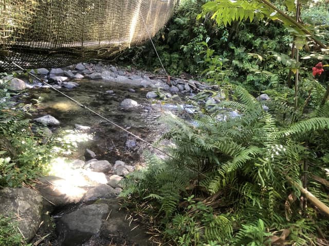 Photo 1 par Yvelise M. (21/09/25)