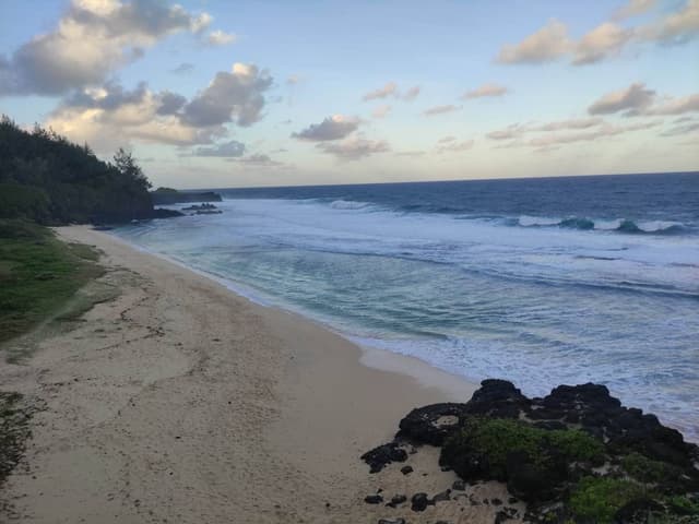 Photo 3 by Marius K. (7/7/25)