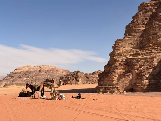 Foto di Tiziano B. (10/01/26)