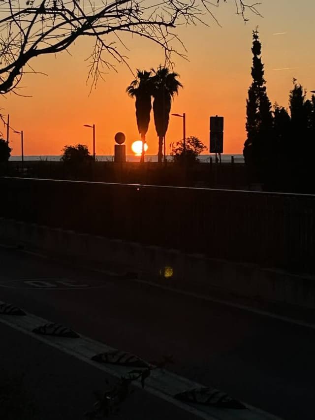 Billede af johnny P. (7.4.26)