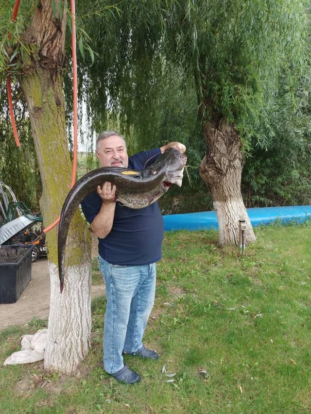 Фото 1 от GRIGORI G. об аренде Volkswagen Taigo в аэропорту Бухареста (17.09.24)