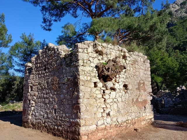 Zdjęcie 3 wykonane przez Marzena M. (14.02.24)