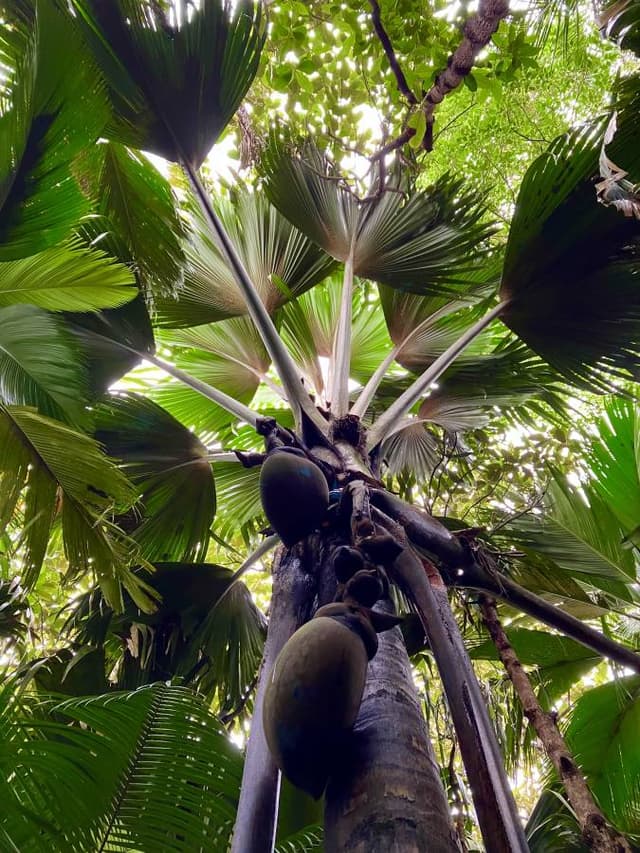 Photo 6 by Kenton S. about hiring a Hyundai Grand i10 in Victoria (13.05.24)