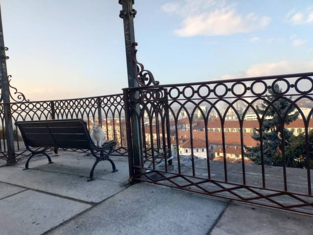 Foto 2 de Walter A. (3/2/26)