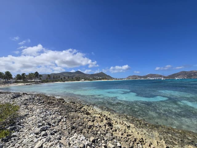 Photo 1 by marie-claude S. (2/5/26)