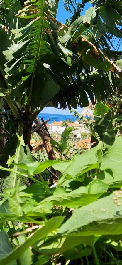 Photo 2 par Florence R. (25/05/26)