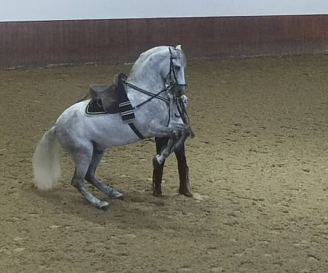 Zdjęcie 1 wykonane przez Malgorzata M. (1.10.22)