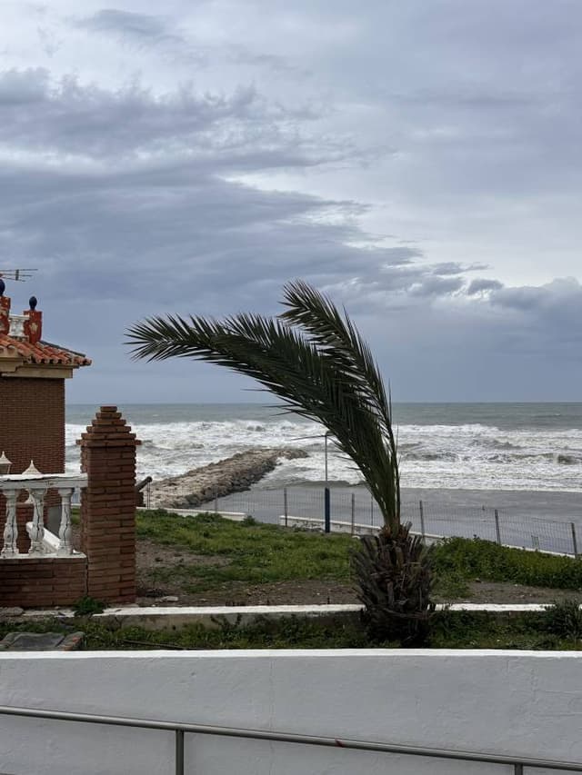 Foto 2 von Knut M. (12.2.26)