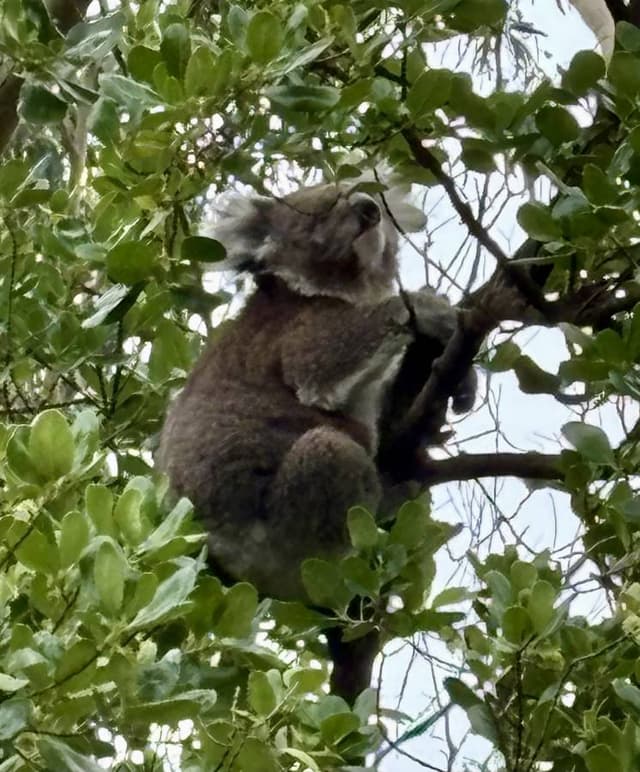 Foto 2 di Marco B. (12/12/25)