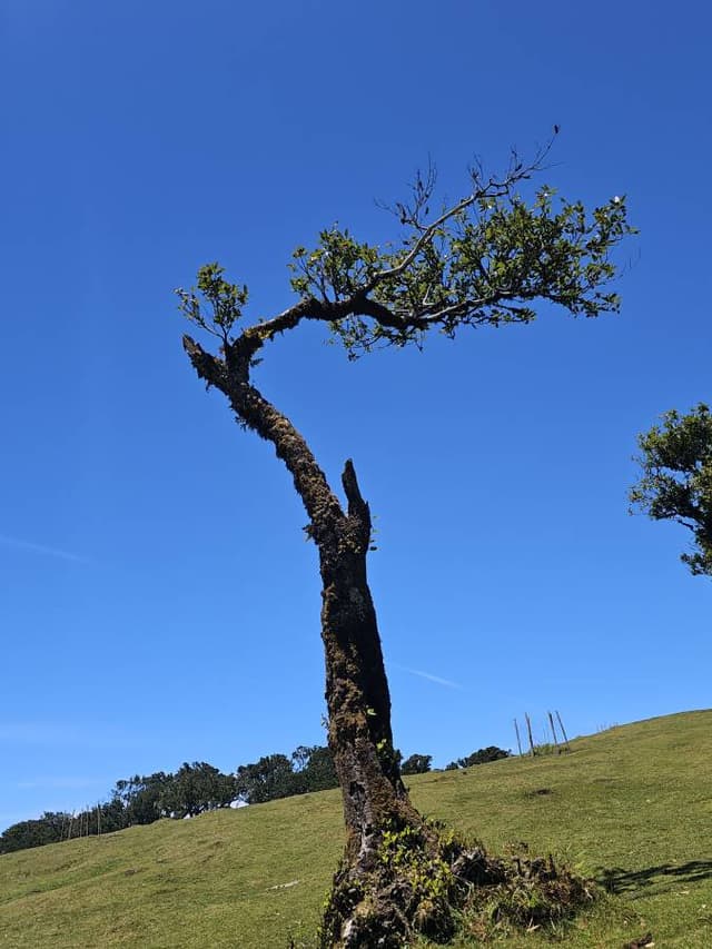 Photo 7 par Alain C. (31/05/26)