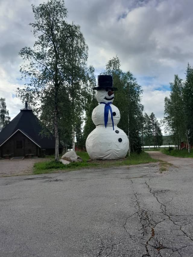 Henkilön teppo V. kuva 1 (16.7.24)