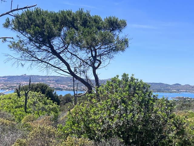 Foto 1 van Sebastiana P. over het huren van een Hyundai Tucson in Olbia (4-6-25)