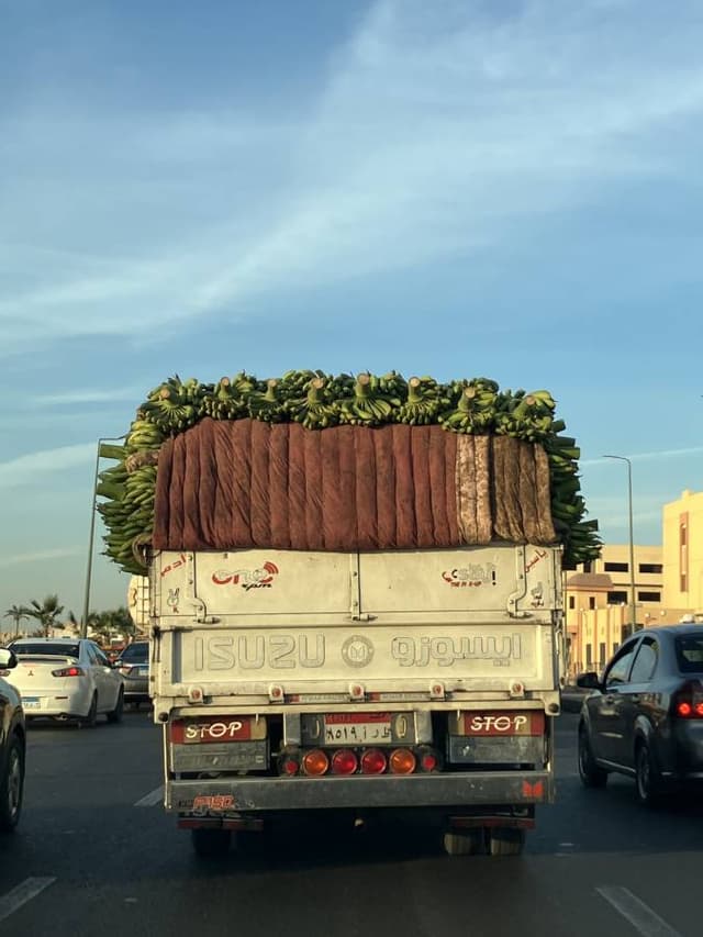 Zdjęcie 2 wykonane przez Joanna H. (21.12.24)