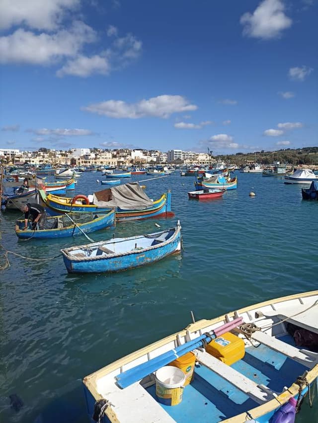 Photo 3 by Ahmed L. (2/22/24)