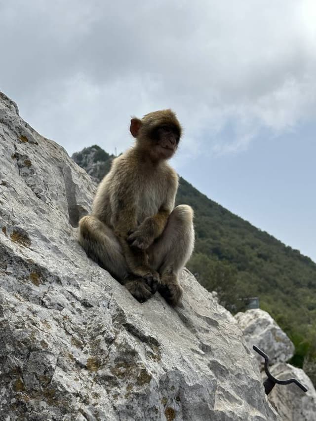 Photo 2 by Valerie B. (8/26/24)