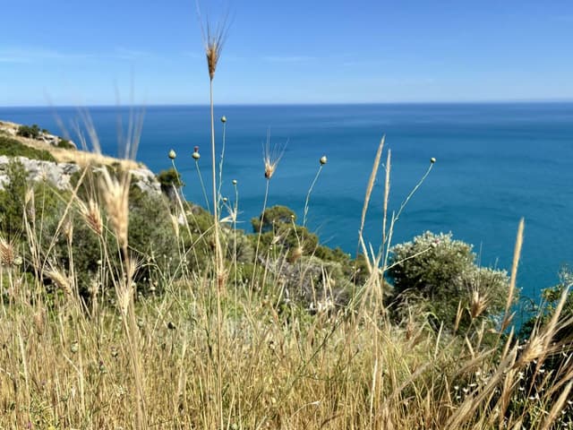 Photo 7 by Ann S. (6/6/26)