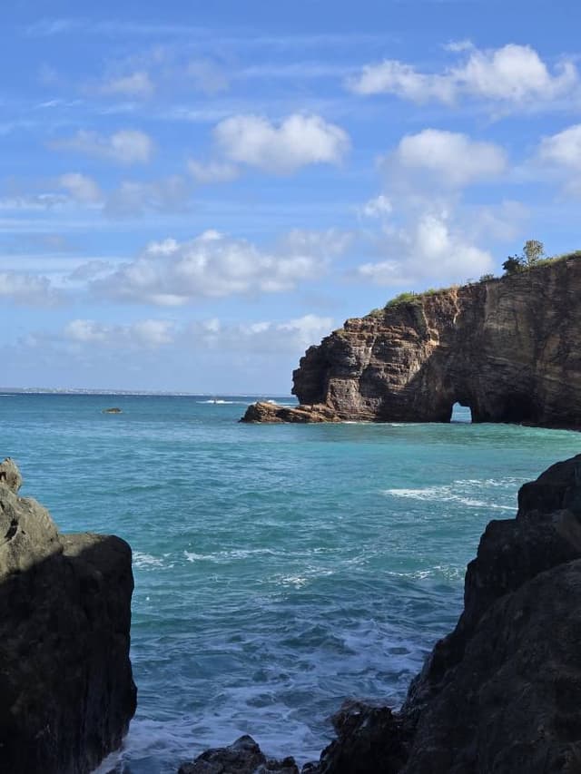 Photo 2 by marie-claude S. (2/5/26)