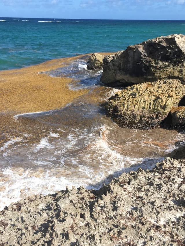 Photo 3 by Margaret B. about hiring a Suzuki Ertiga at Bridgetown Airport (29.03.23)