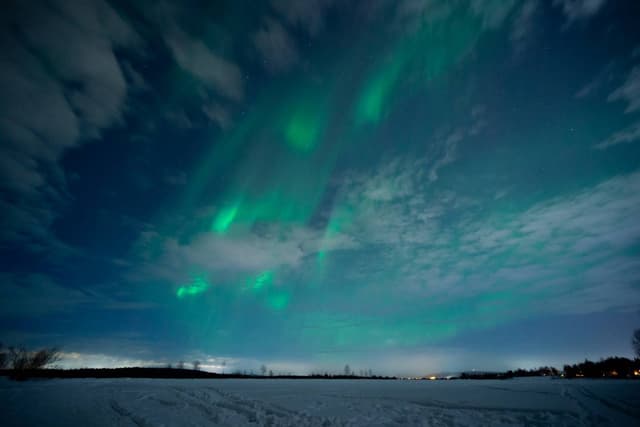 Foto di Federica A. (14/02/25)