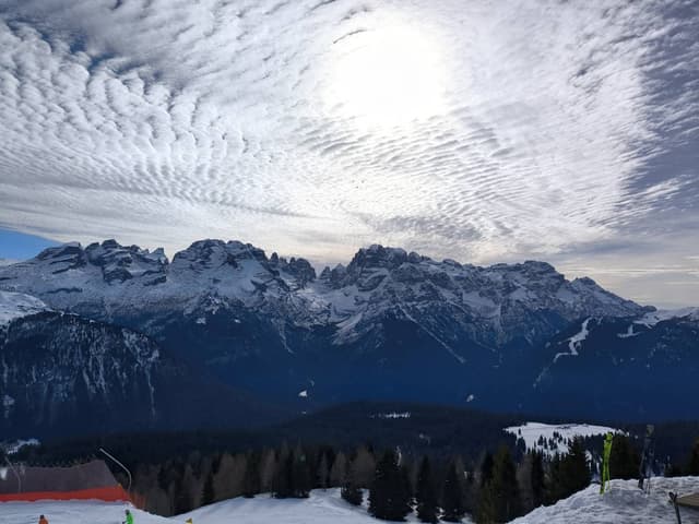 Foto 2 di Francesco D. (18/02/24)