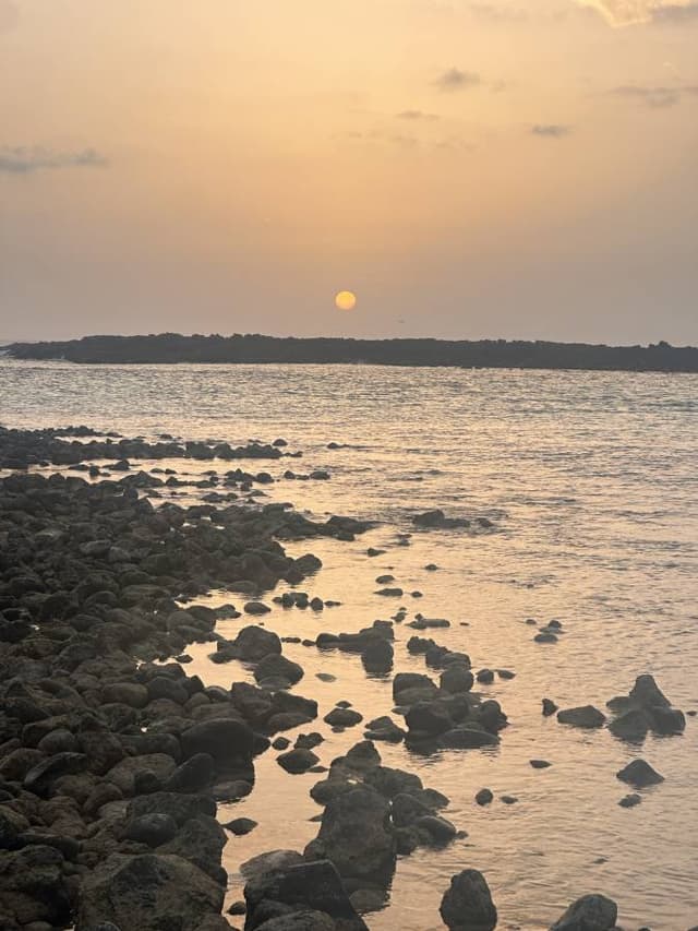 Photo 2 by Mario C. (3/25/26)