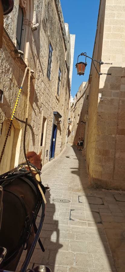 Photo 1 by Edward L. about hiring a Volkswagen Up at Malta Luqa Airport (05.08.23)