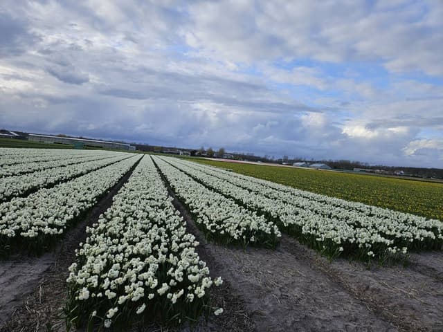 Foto 1 av Abdul Malik D. (26-04-08)