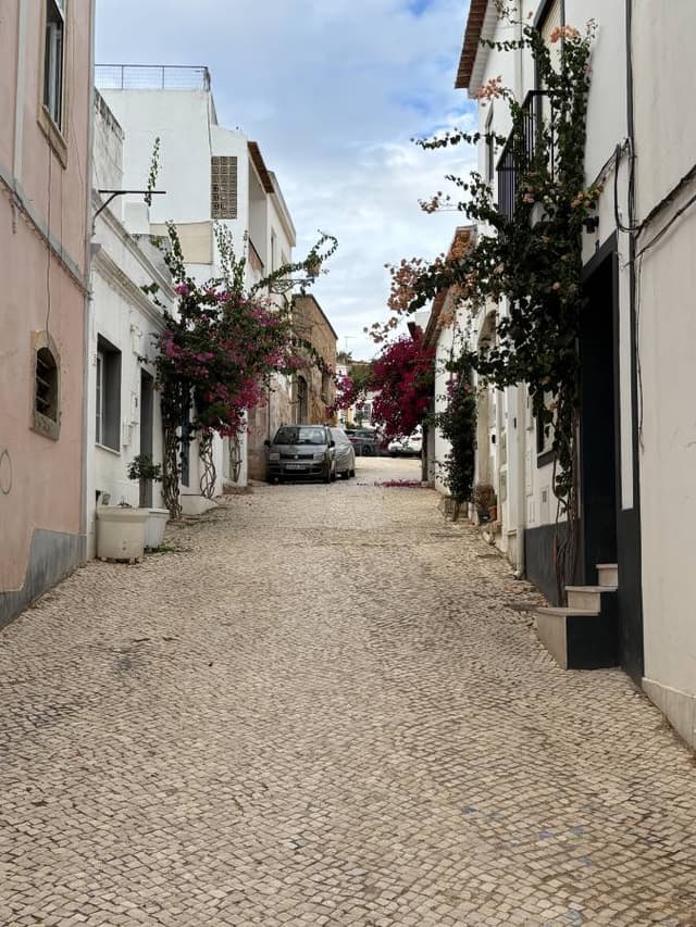 Foto 2 van Debbie S. (4-11-25)