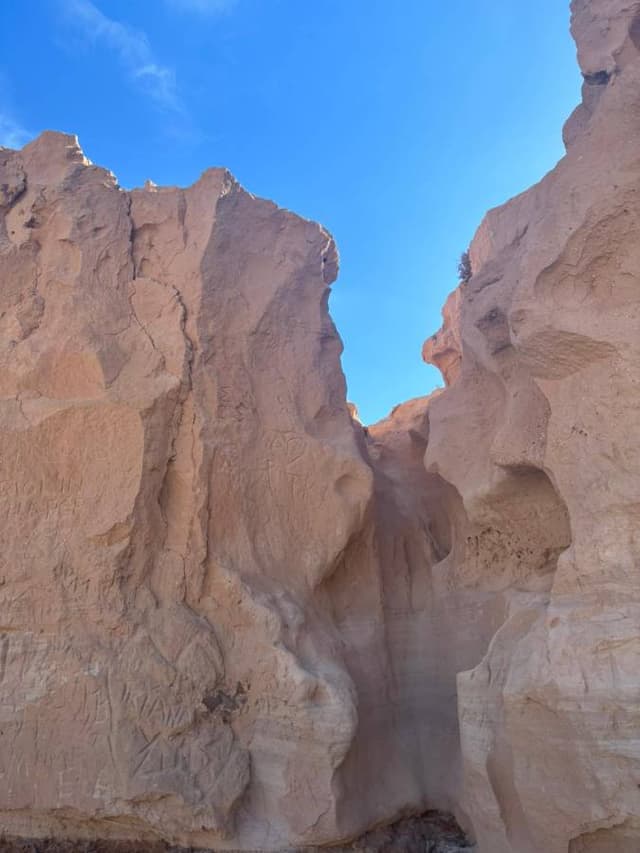 Photo 1 par Jessica A. (21/10/25)